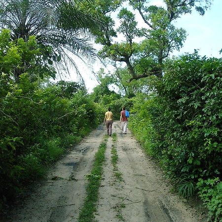 ホテル カンサラ タ トト Kafountine エクステリア 写真