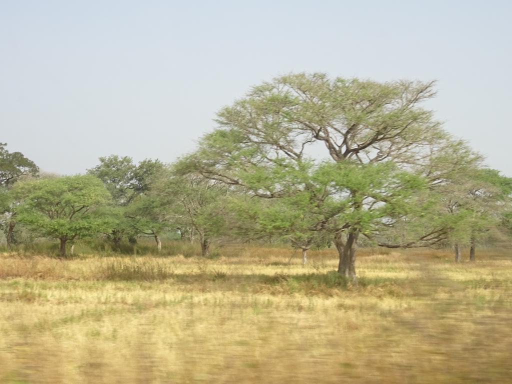 ホテル カンサラ タ トト Kafountine エクステリア 写真